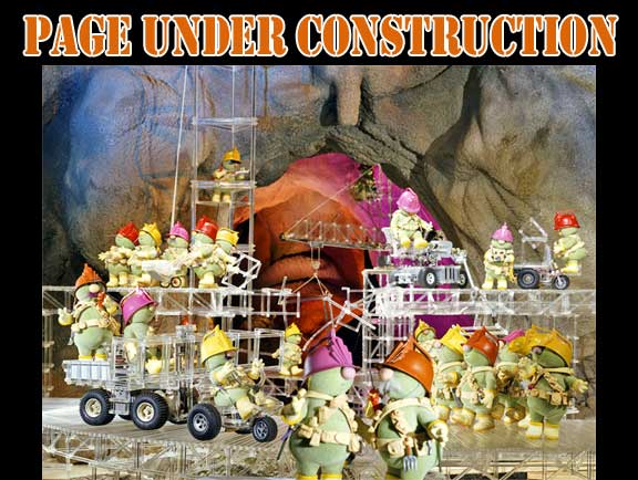 Page Under Construction